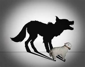 sheepwolf