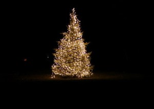 By Brian Teutsch, Creative Commons